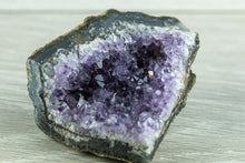 Load image into Gallery viewer, Amethyst Clusters- Medium, Brazil
