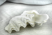 Load image into Gallery viewer, Natural White Sea Shell Half
