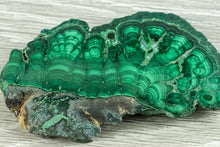 Load image into Gallery viewer, Malachite Slice- Small
